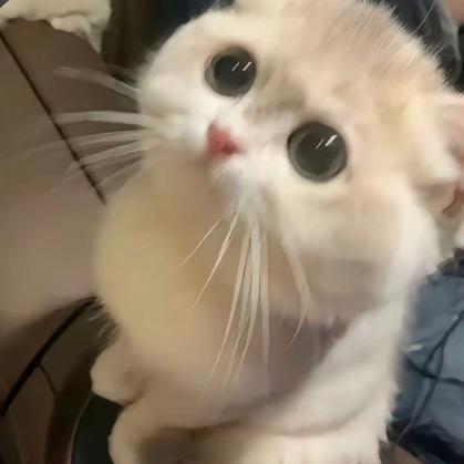 抽象搞多了只剩眼泪