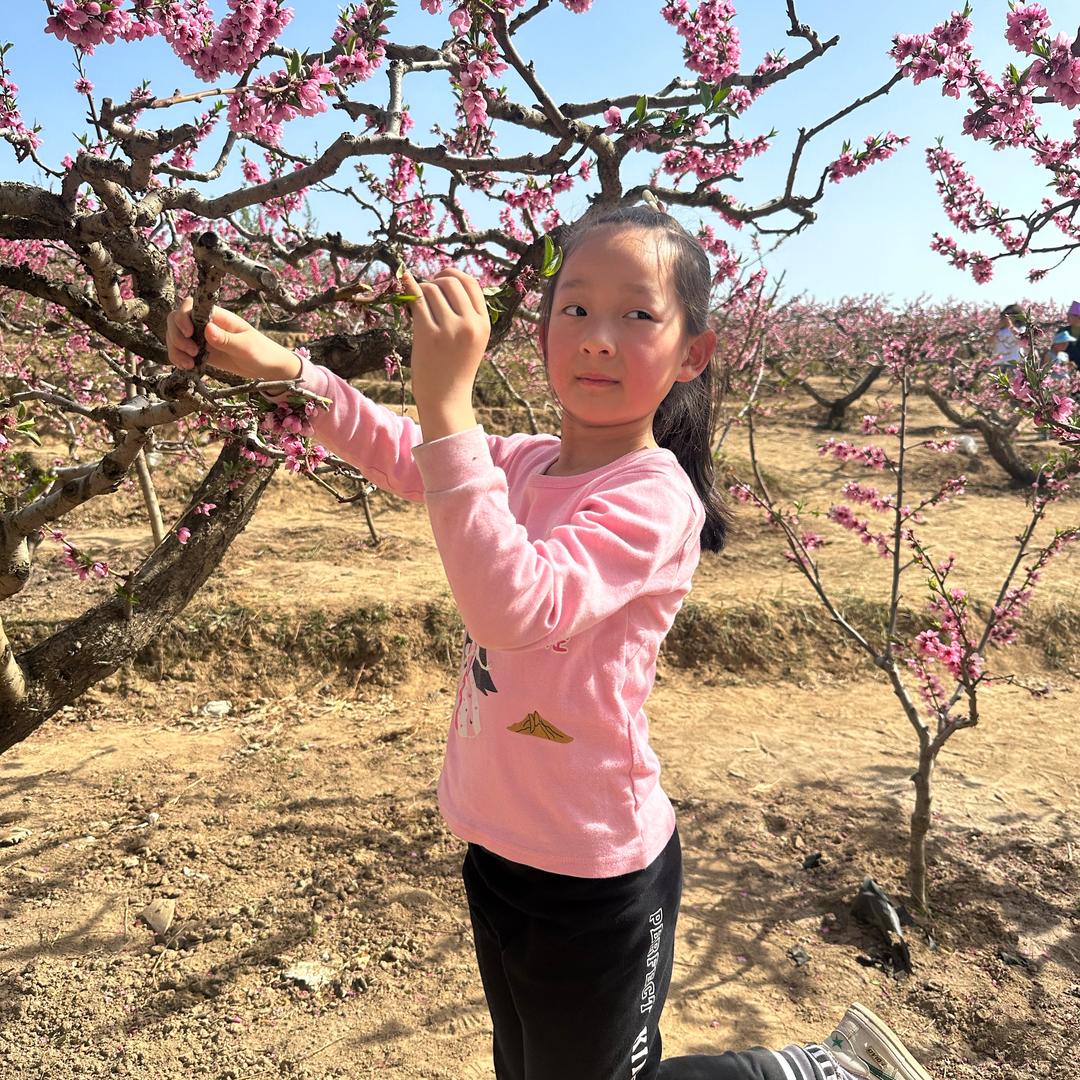 彩云