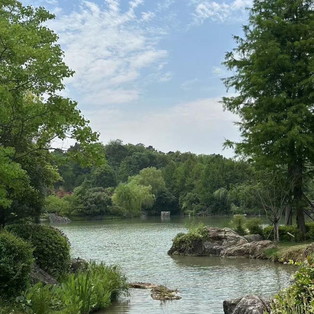 邢台市滨江高级中学景老师