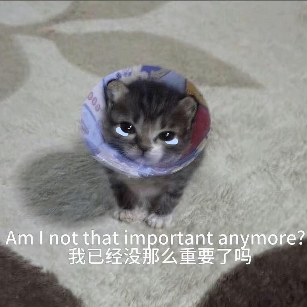 我是猪