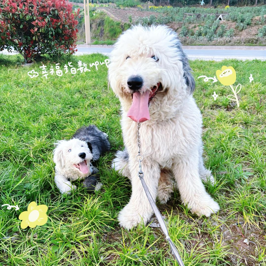 👀阿修罗的悠米^-^