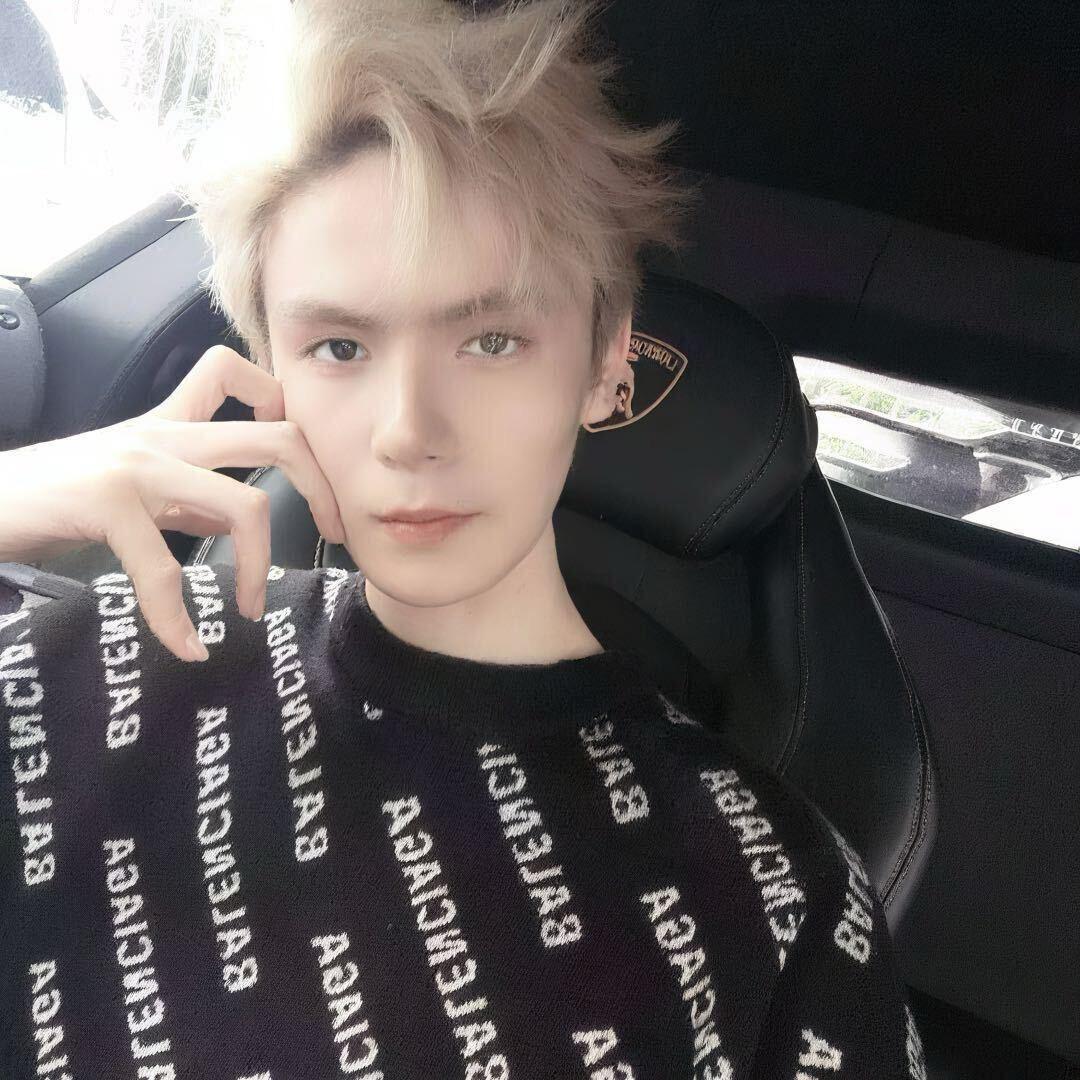 熊宝藏(正颌版）