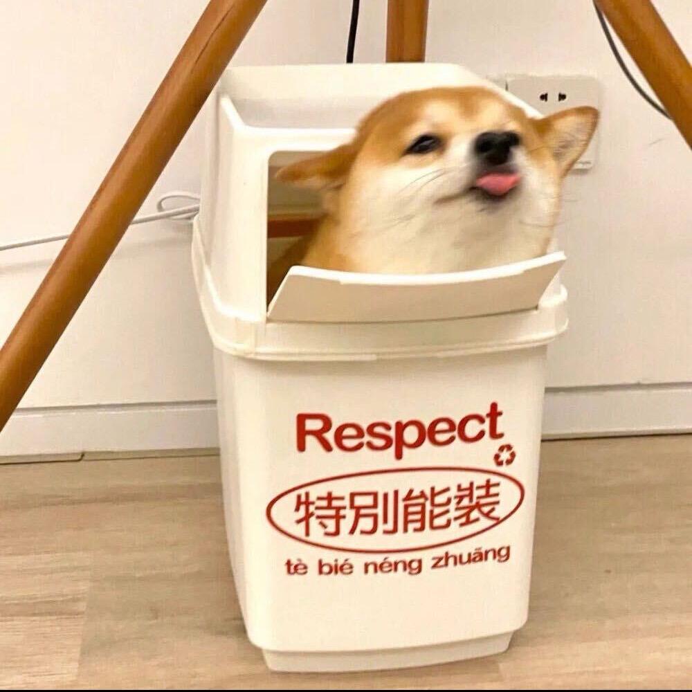 九鸽