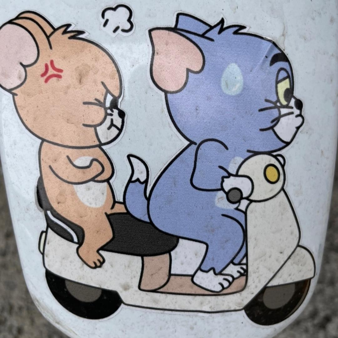 🌈唐老鼠和米老鸭