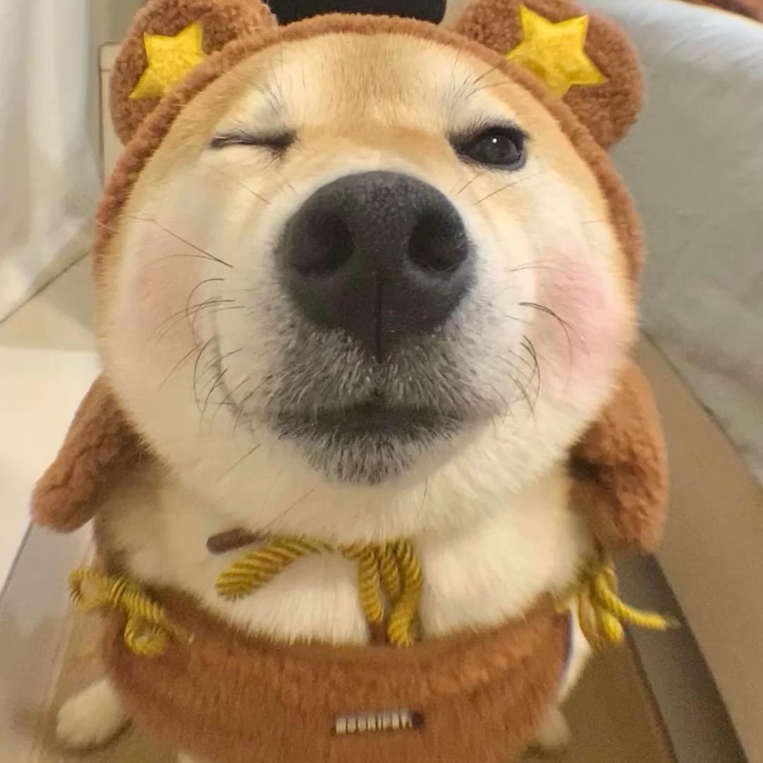 炸毛可乐ᜊ ᜊ🥤