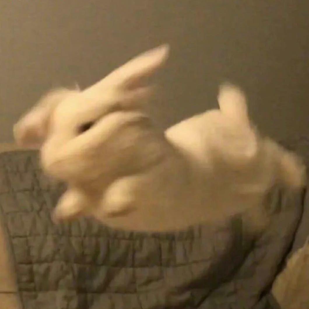 李泽天🐰