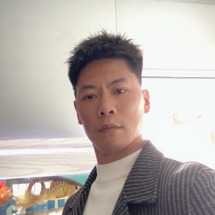波哥陪你浪迹天涯