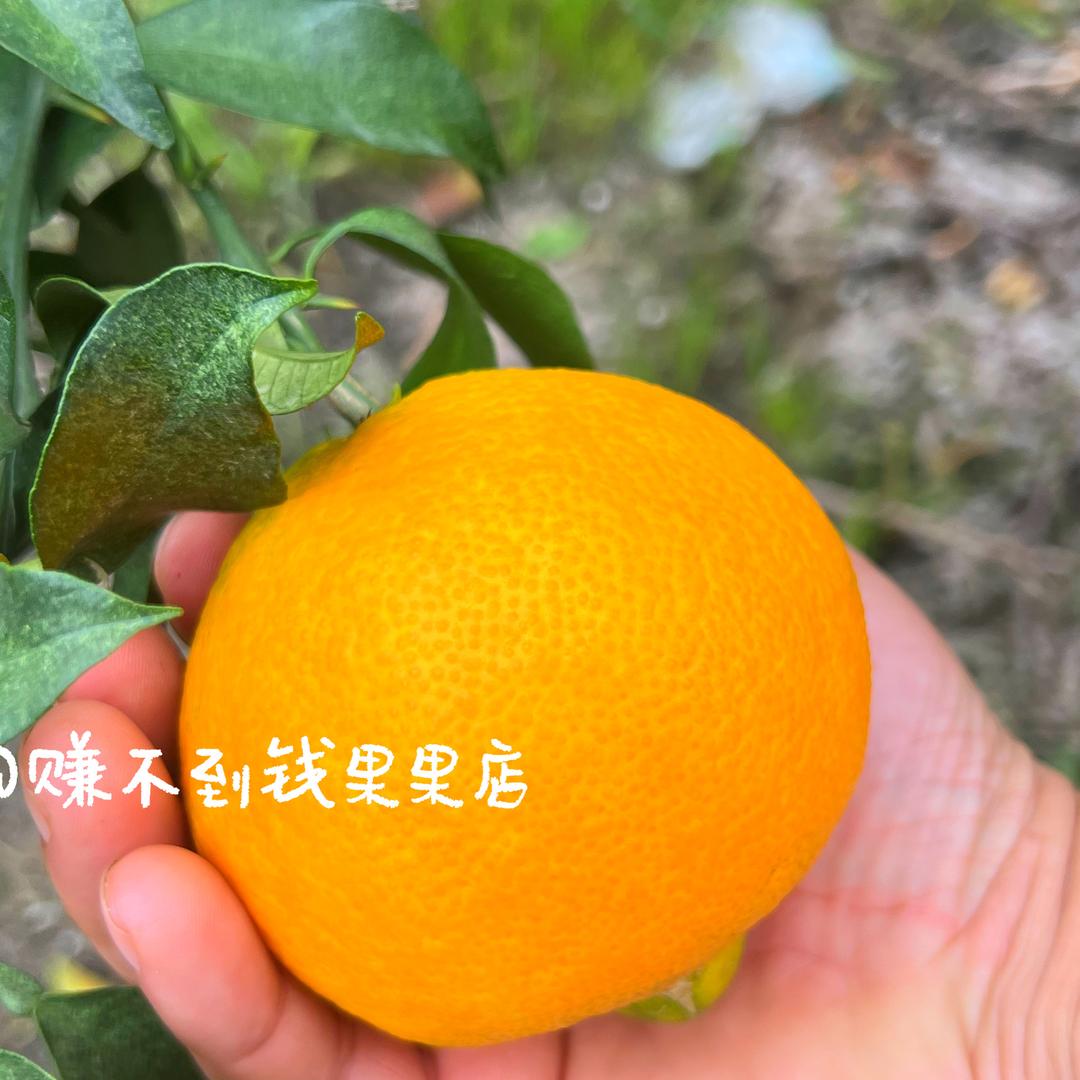 赚不到钱果果店