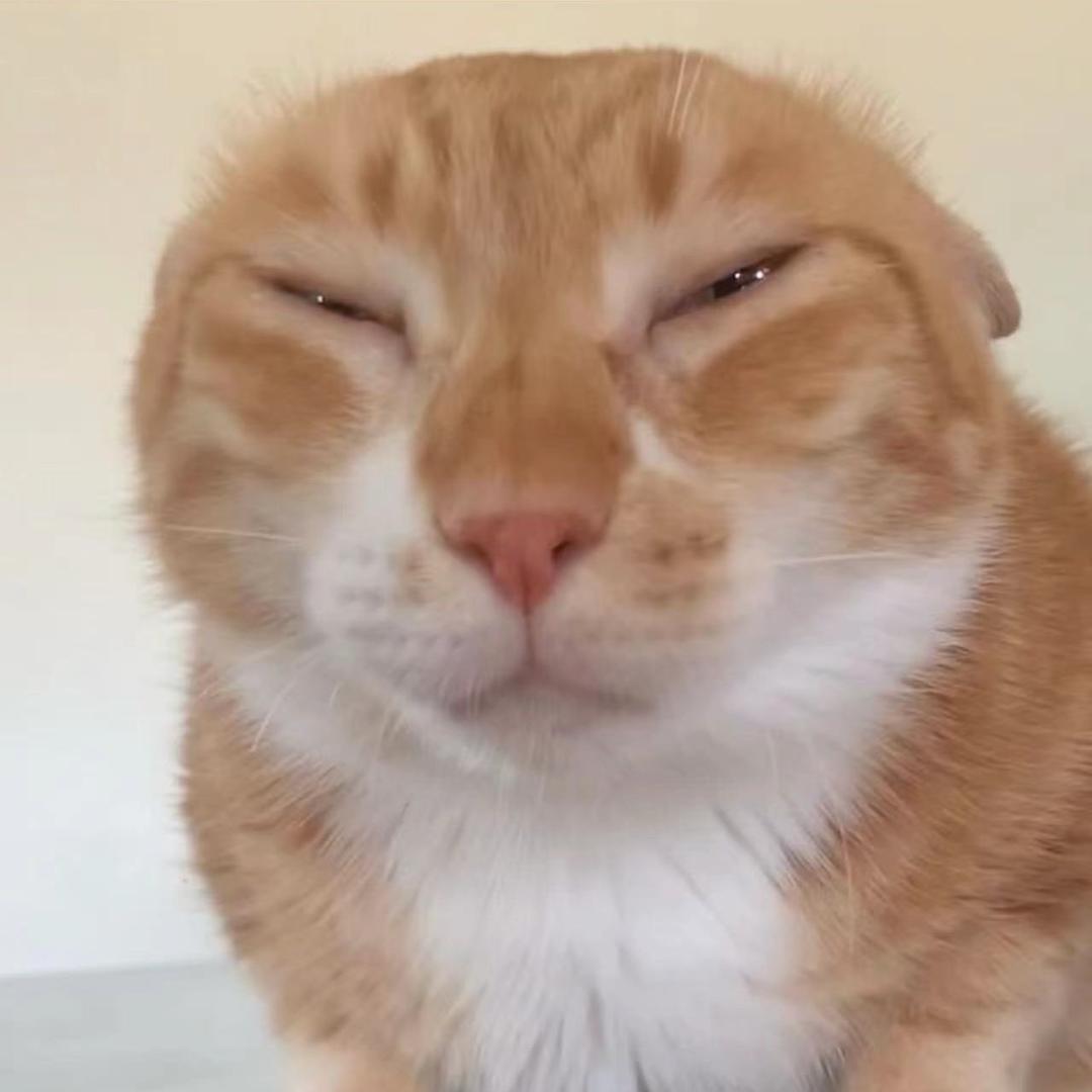 LiG