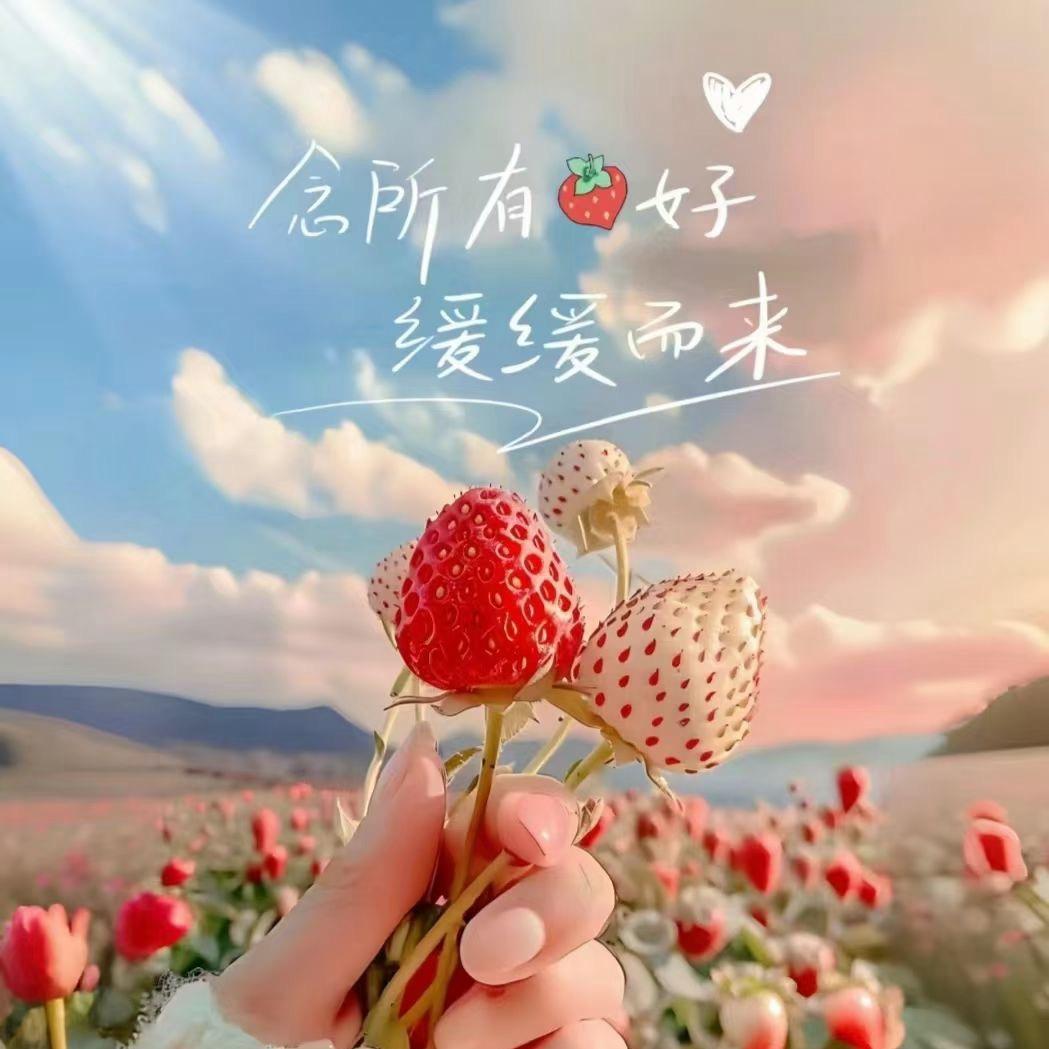 吴糖气泡水🫧