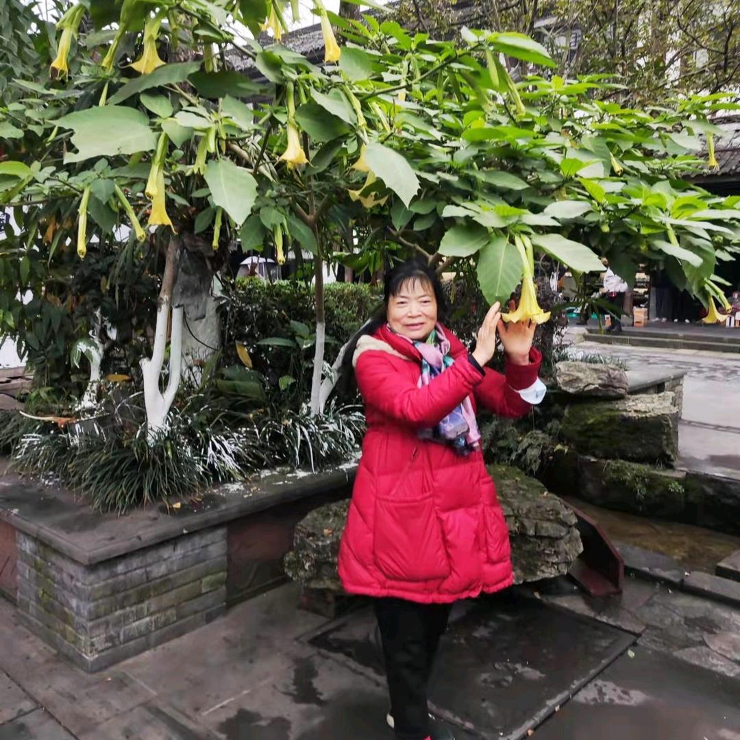 罗光杰