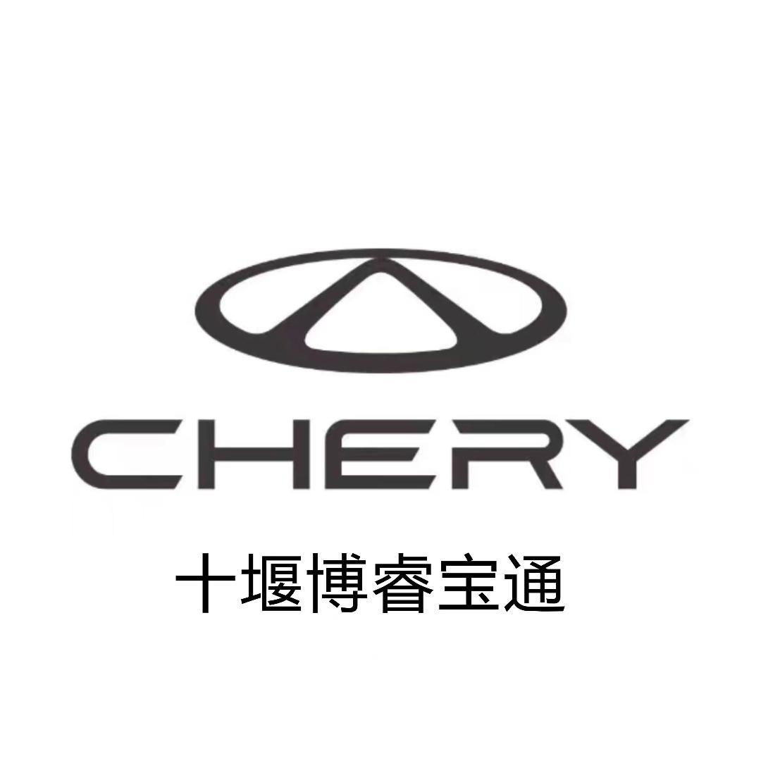 奇瑞十堰博睿宝通-小张