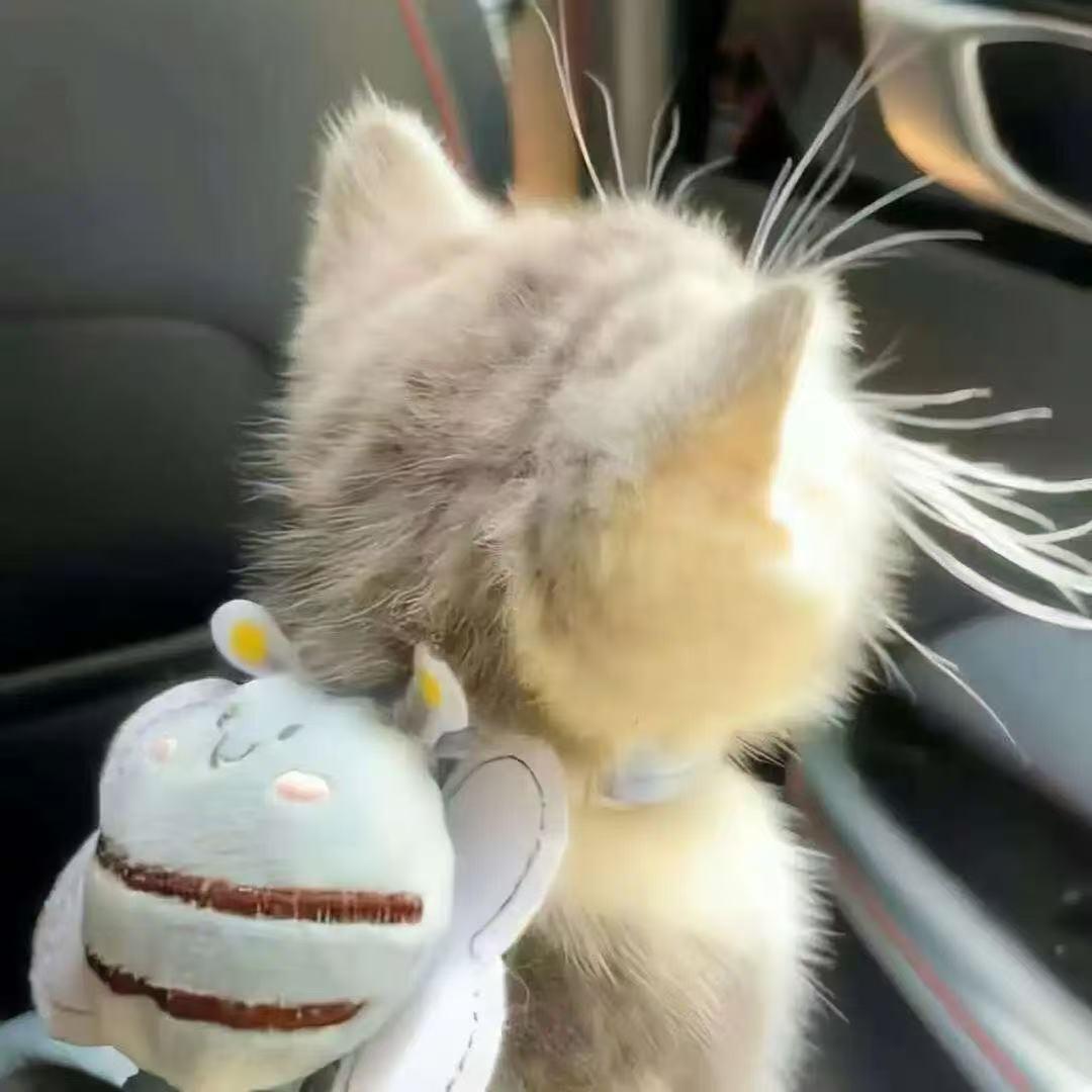 小婉轻奢手工包