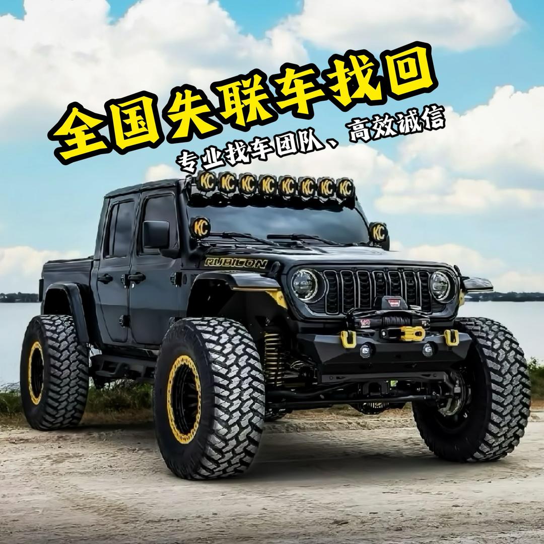 全世界专业找车