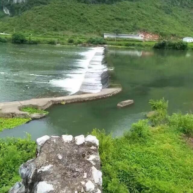沉黙已絾謵貫