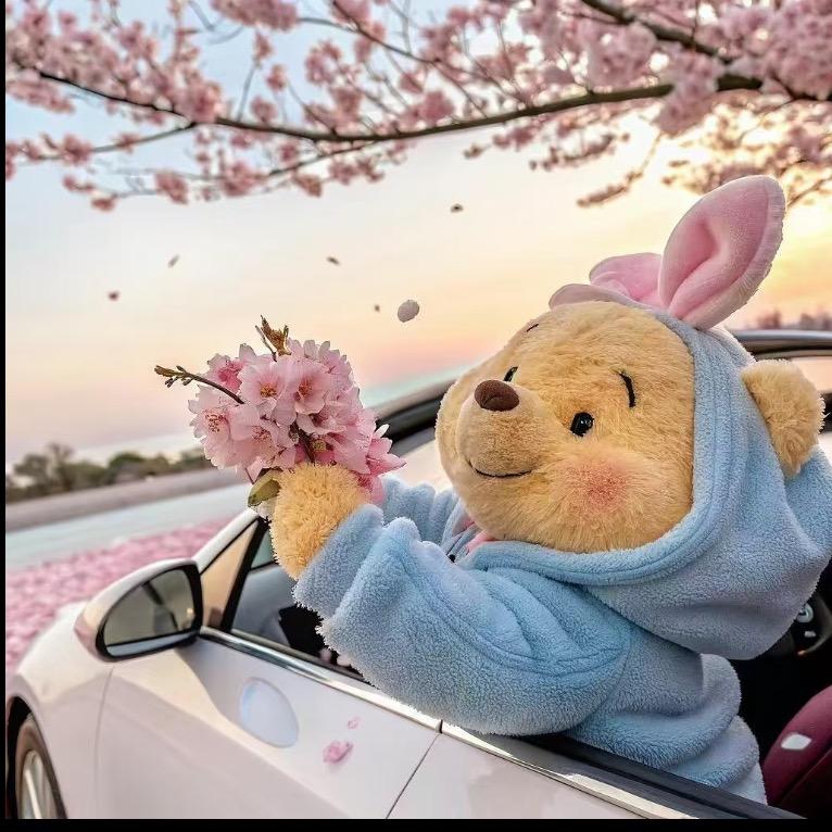 望舒-