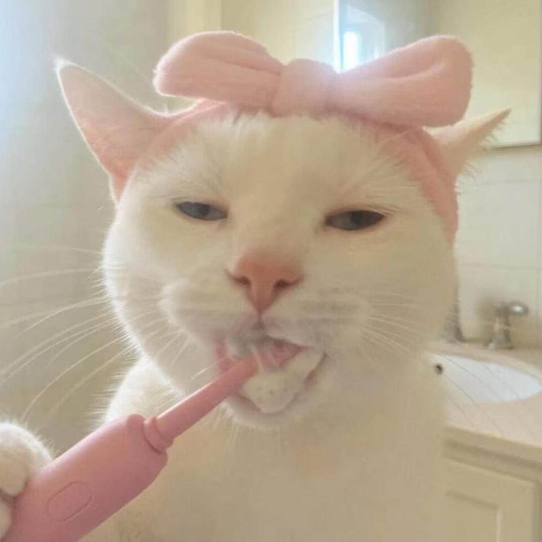 我这一生如绿豆冰ᅟᅟ   ᅟ