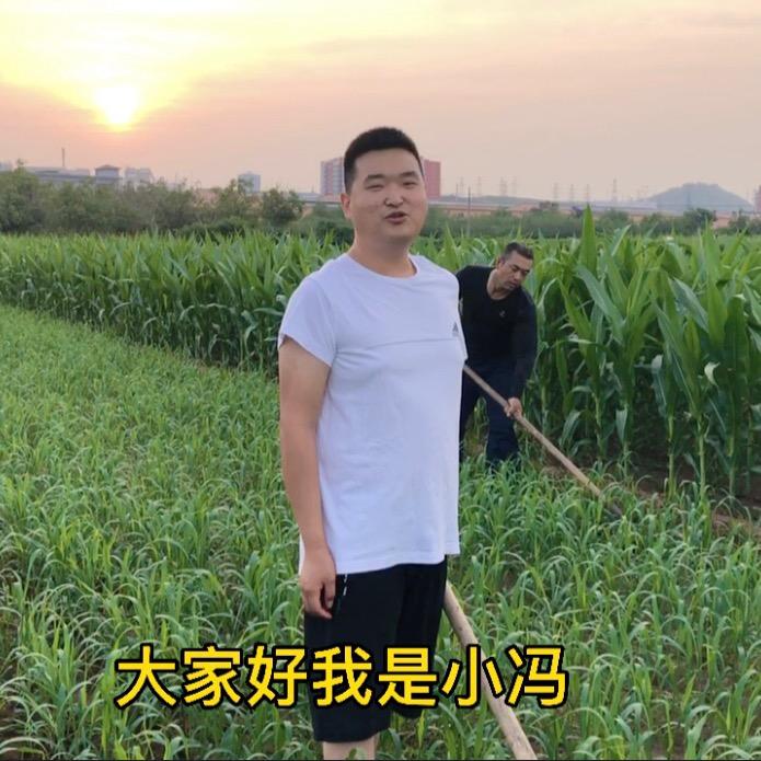 河北小冯