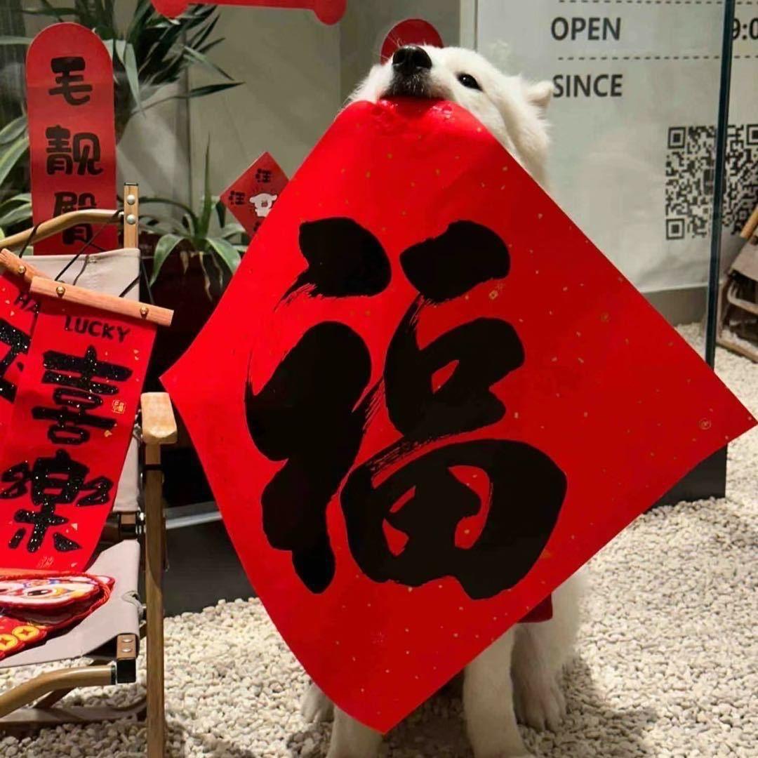 珂珂（努力版）