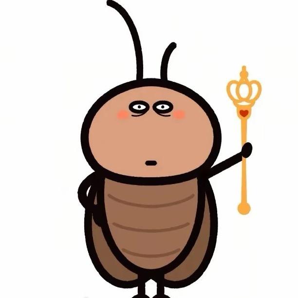 妙佟