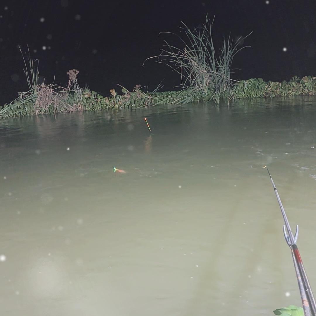 野钓户外6哥（收徒）