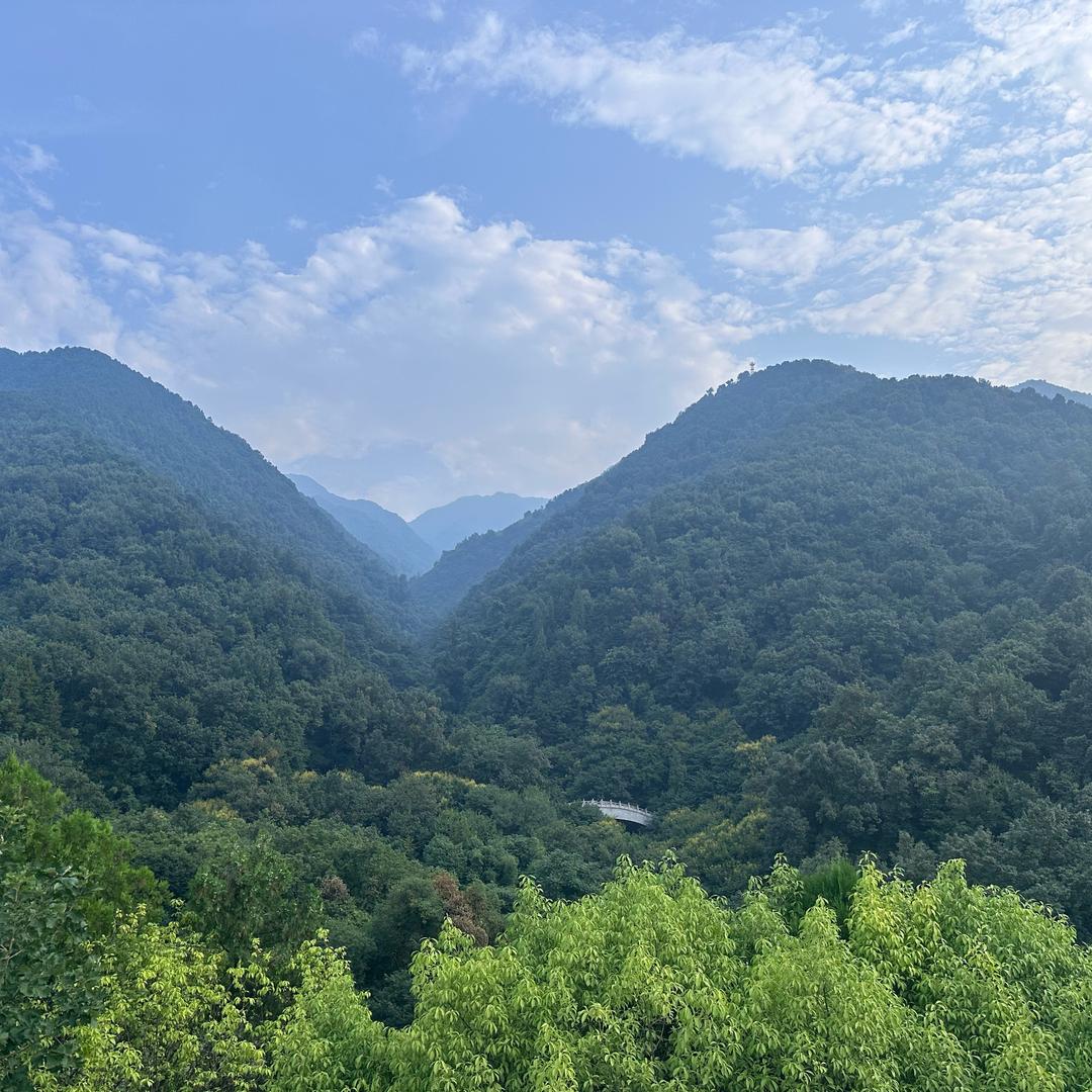 美酒月光杯🇨🇳（朋友圈）