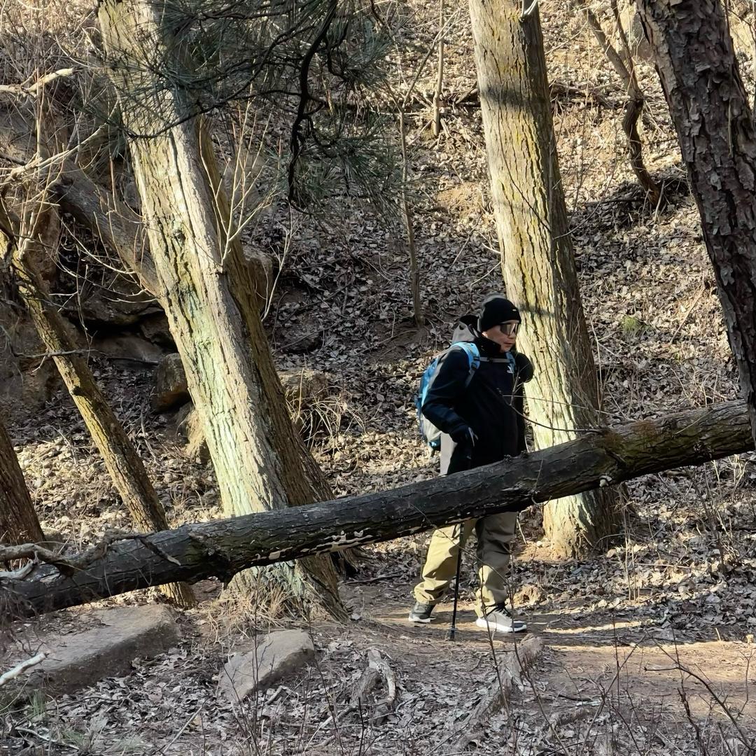 娑婆世界的过客