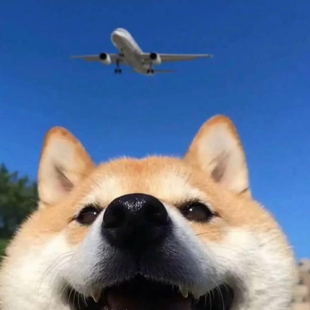 崔宇翔