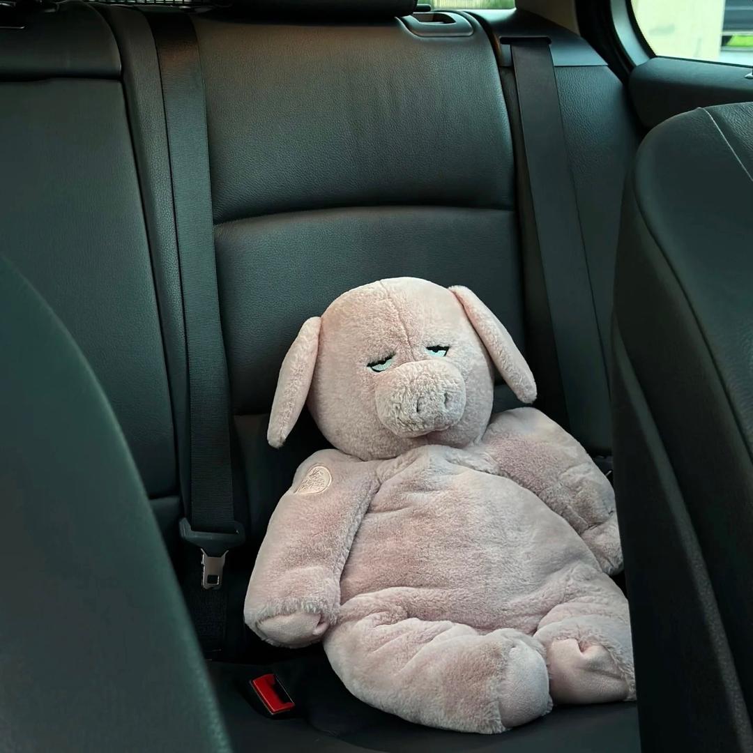 冒牌的帕特裡克