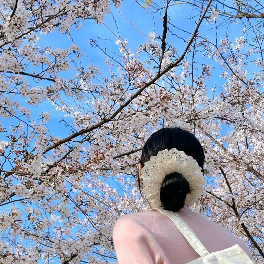 洋乐多