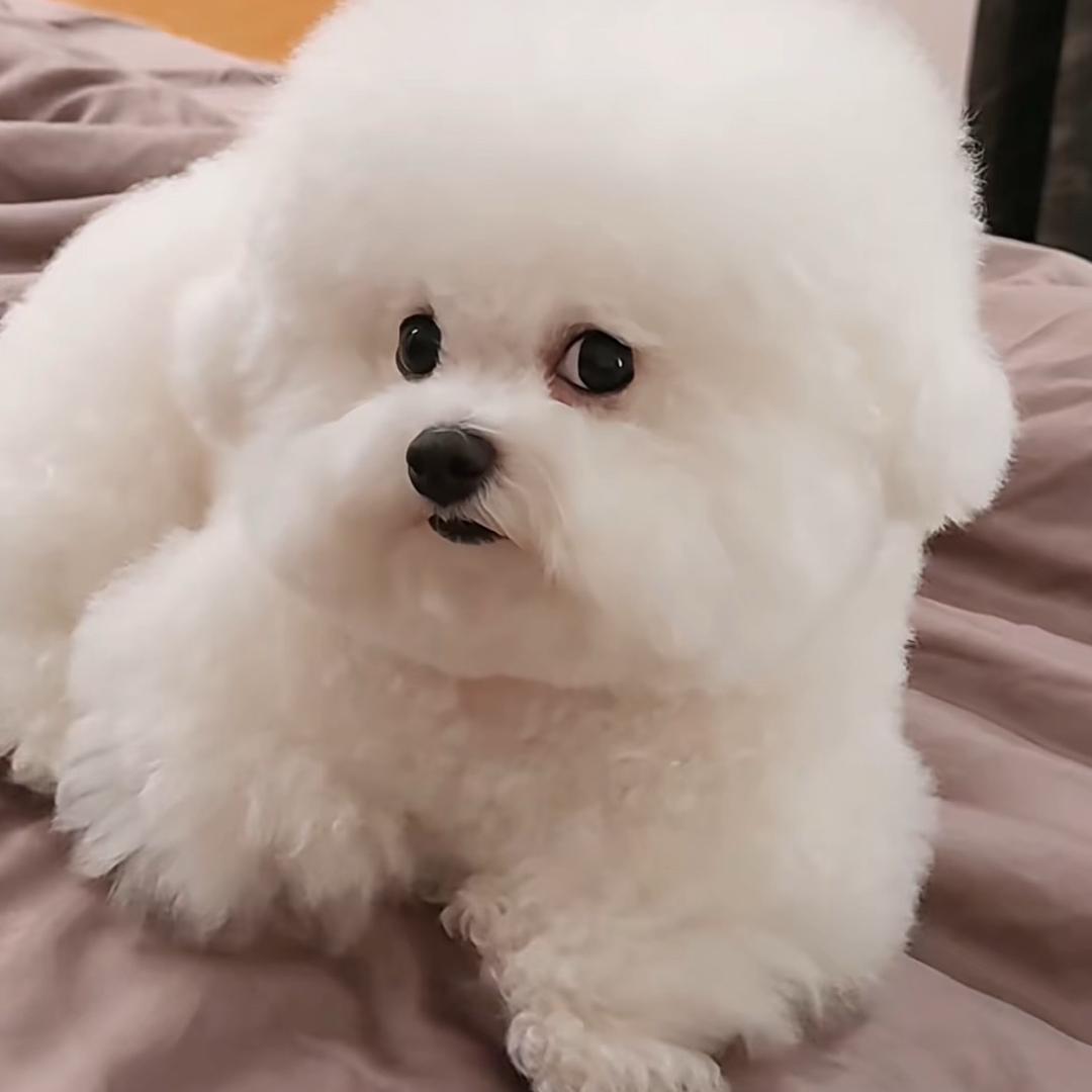 零幺陆柒