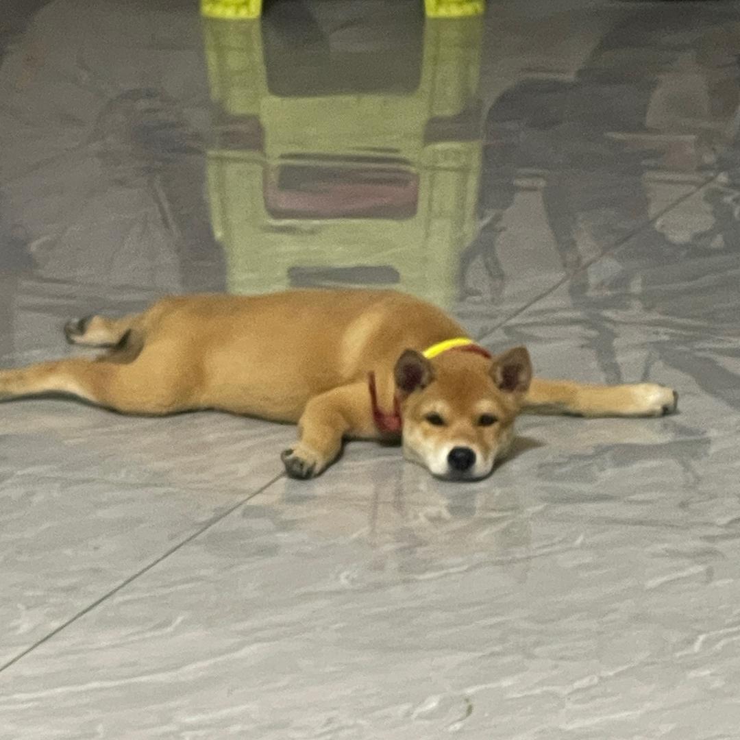 金羽敛财