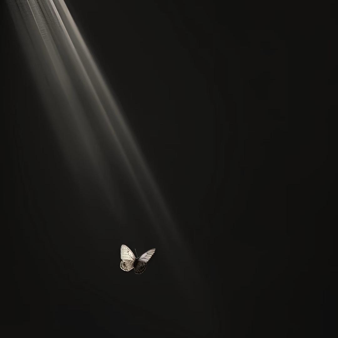 yy