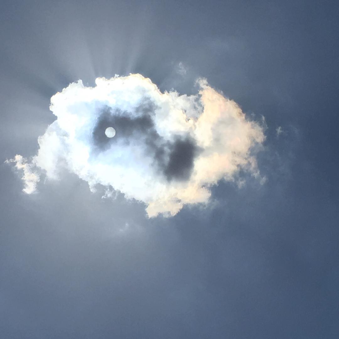 火星驻地球大使