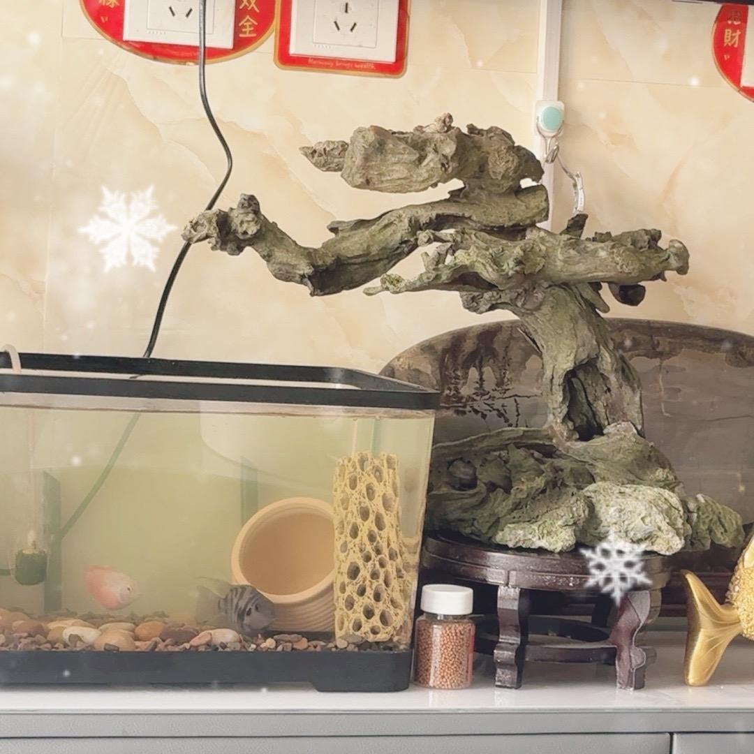 福老三
