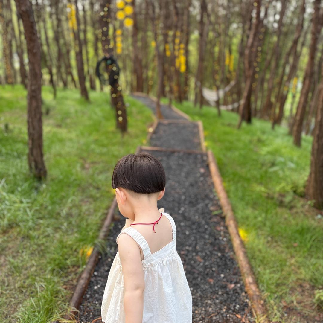 青昭🌱