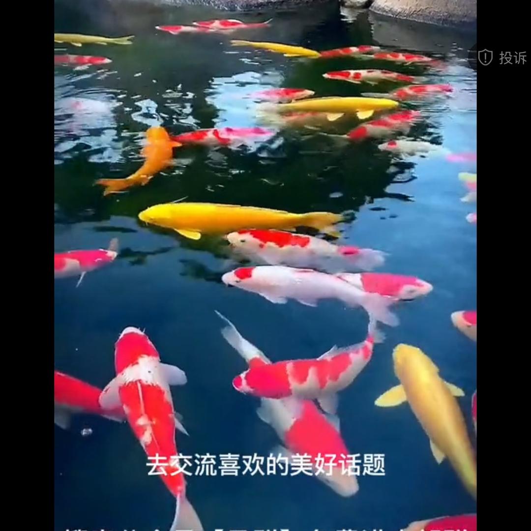 用户127939848168