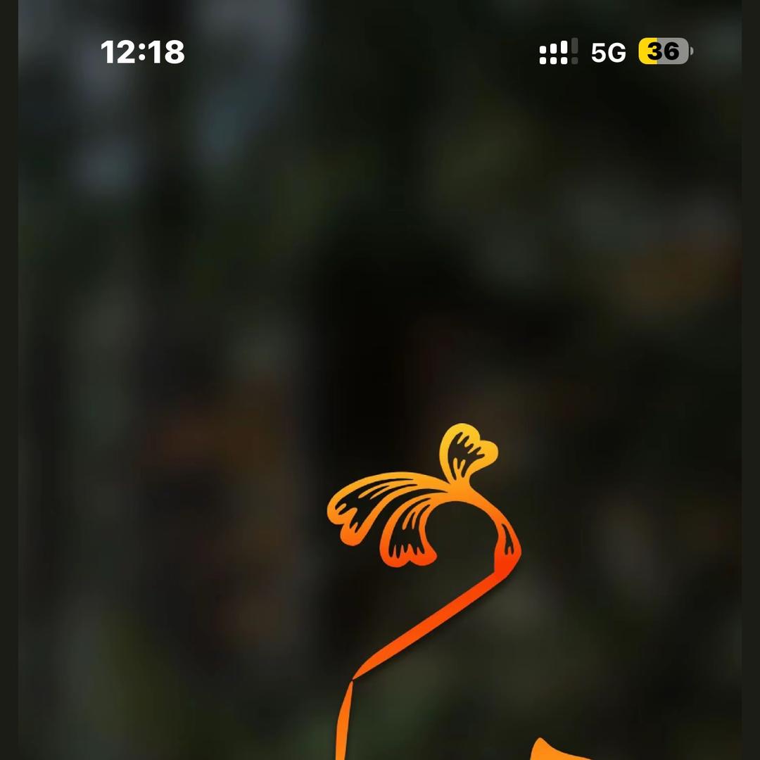 海口龙华区景鑫颖百货店