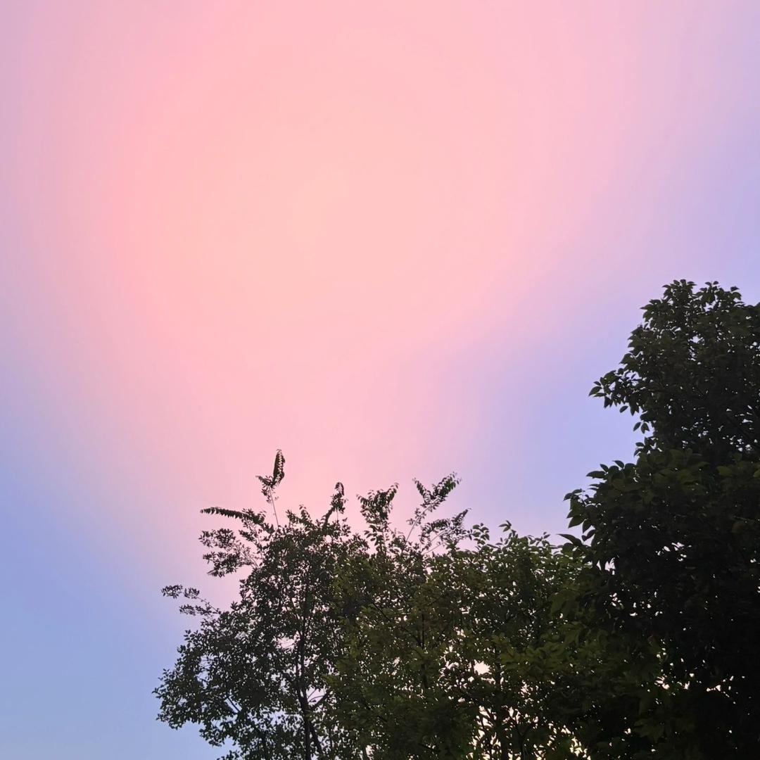 𝙎𝙞𝙨𝙞𝘿𝙪