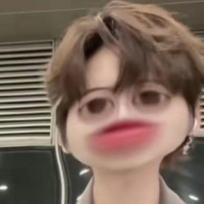 猫猫美伢🌙 •͈ᴗ⁃͈