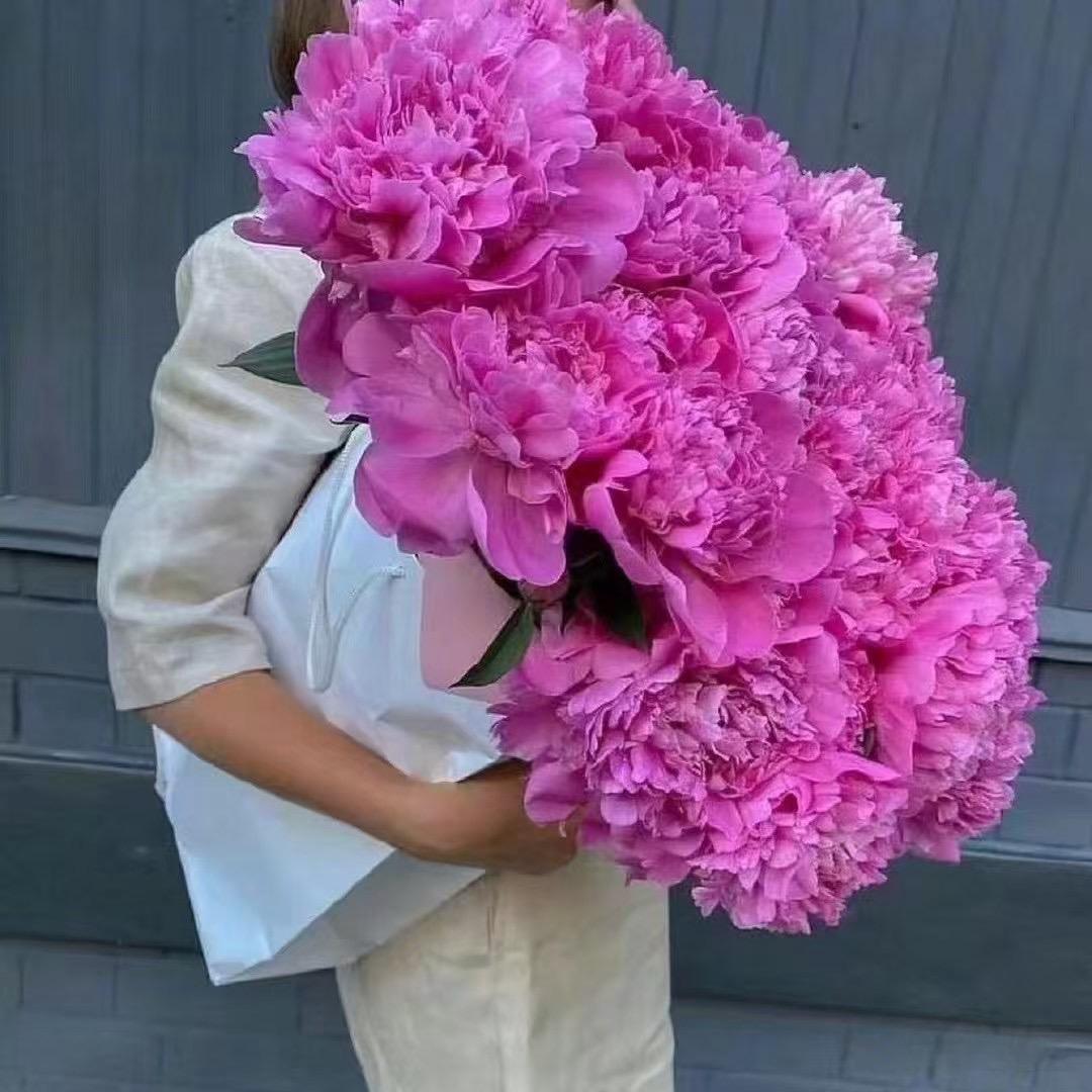 🥀笑敬ꦿ🌿过往🍓