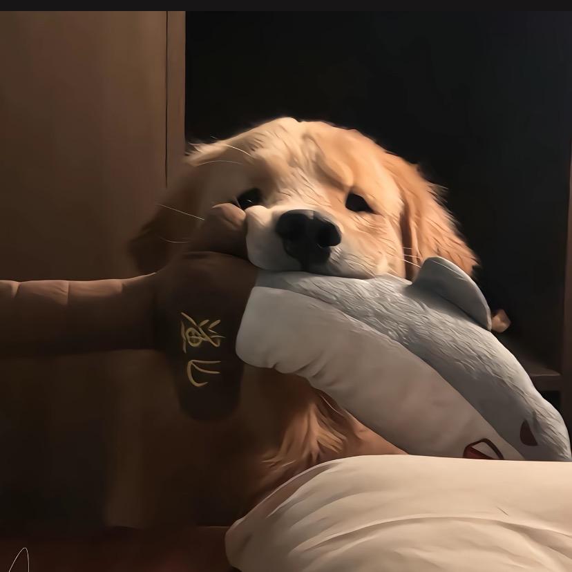 侒