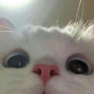 hxxx