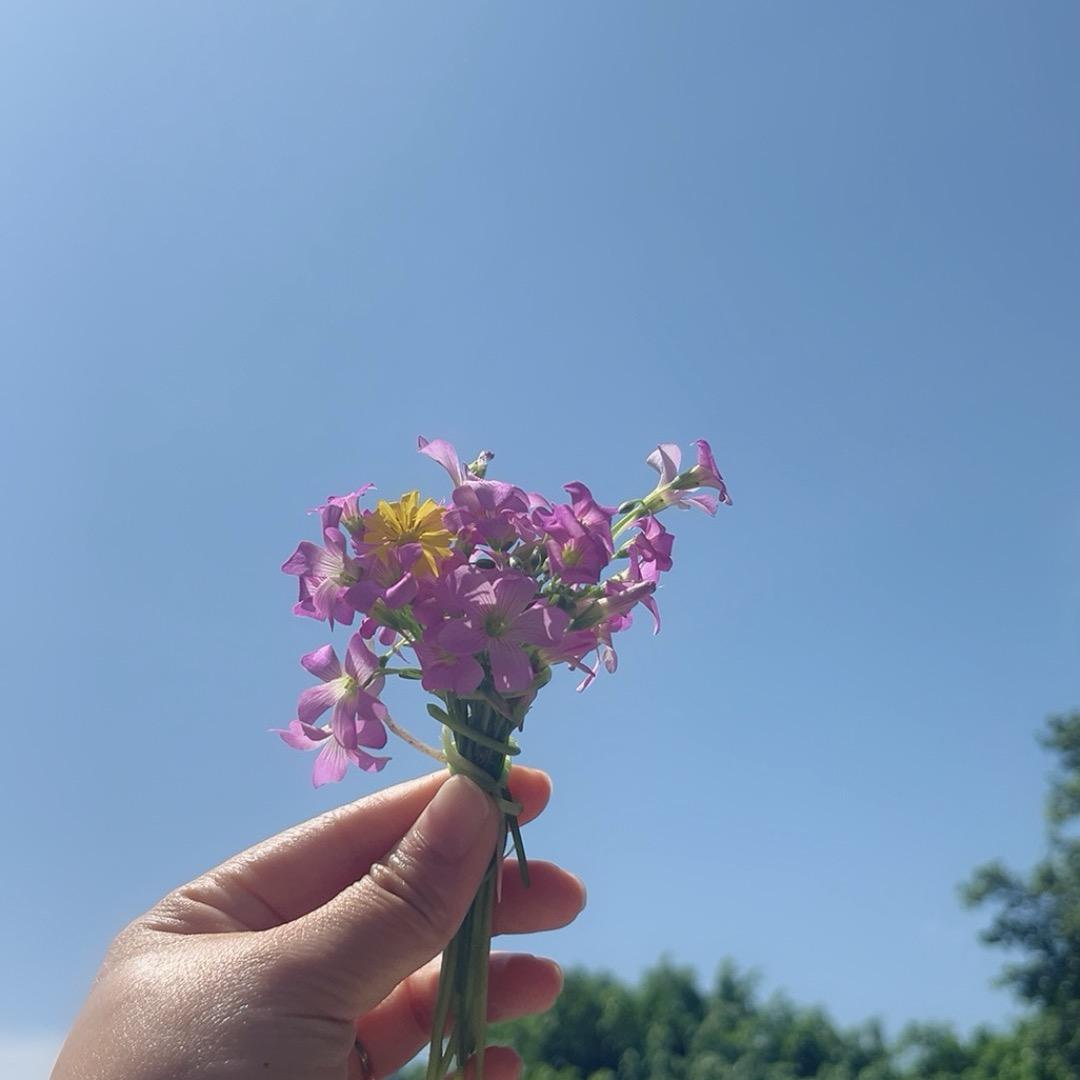 🌈彩虹糖🍬