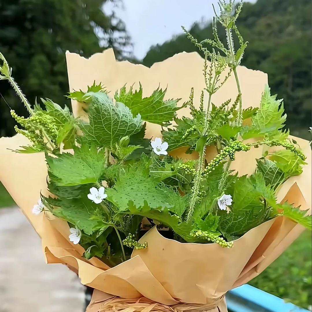 多财 多亿꧔ꦿ᭄
