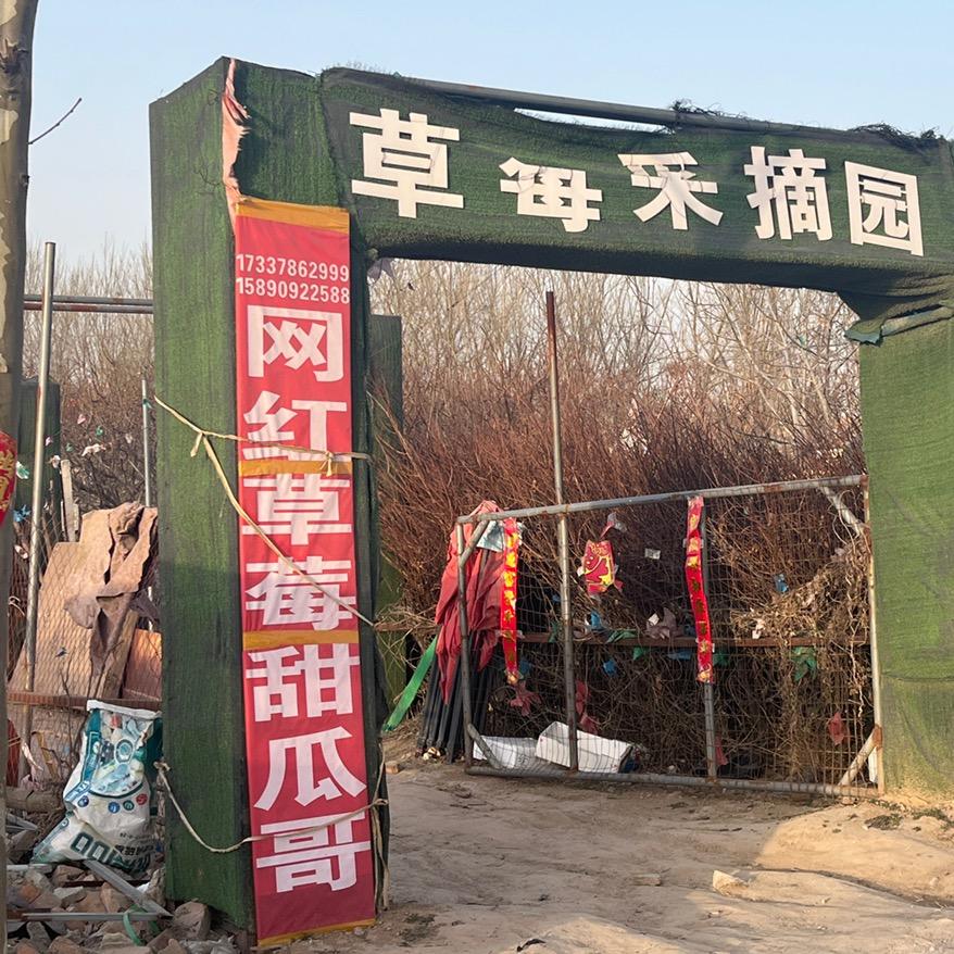 开封市顺河回族区焦齐种植场