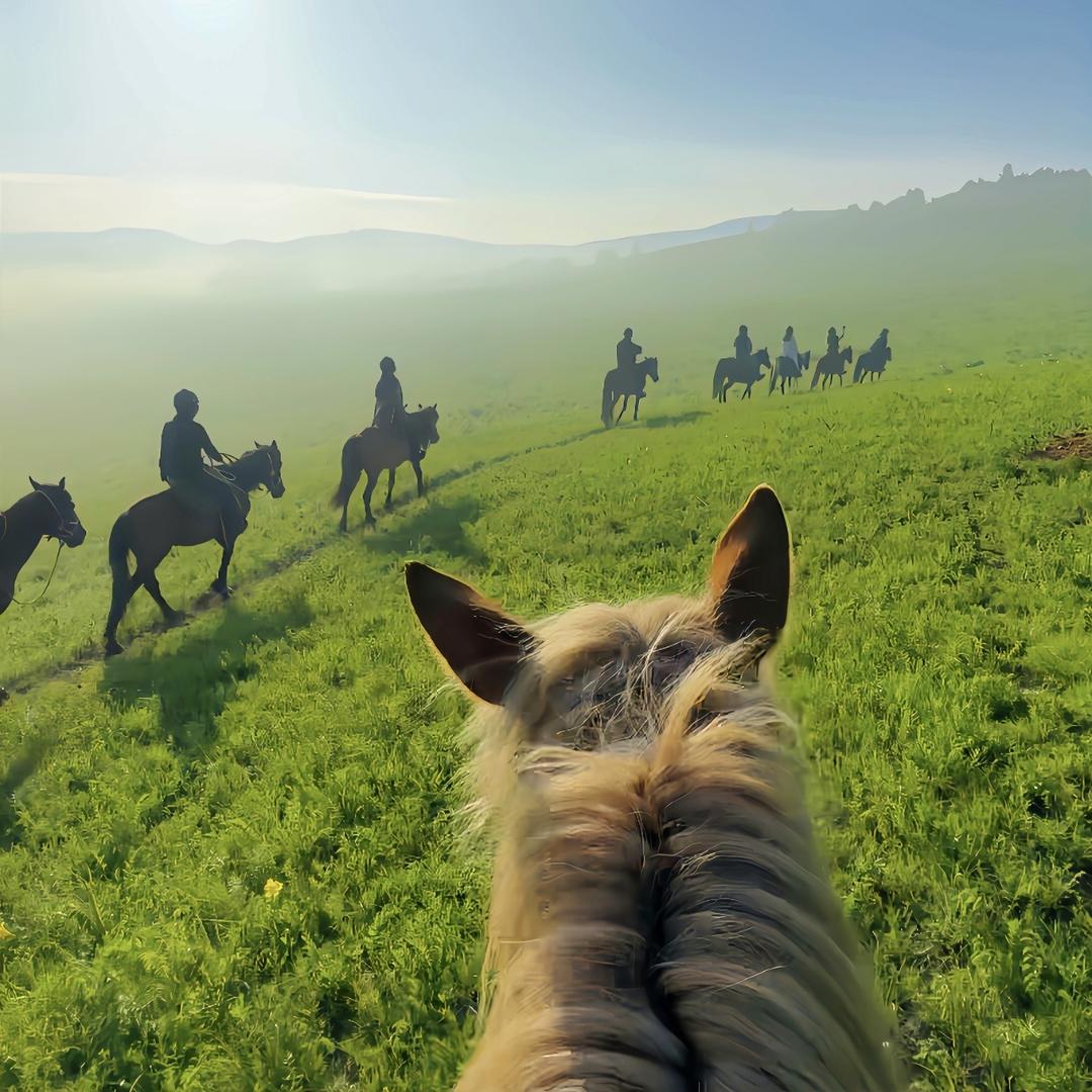 衍姚信息 直播562号