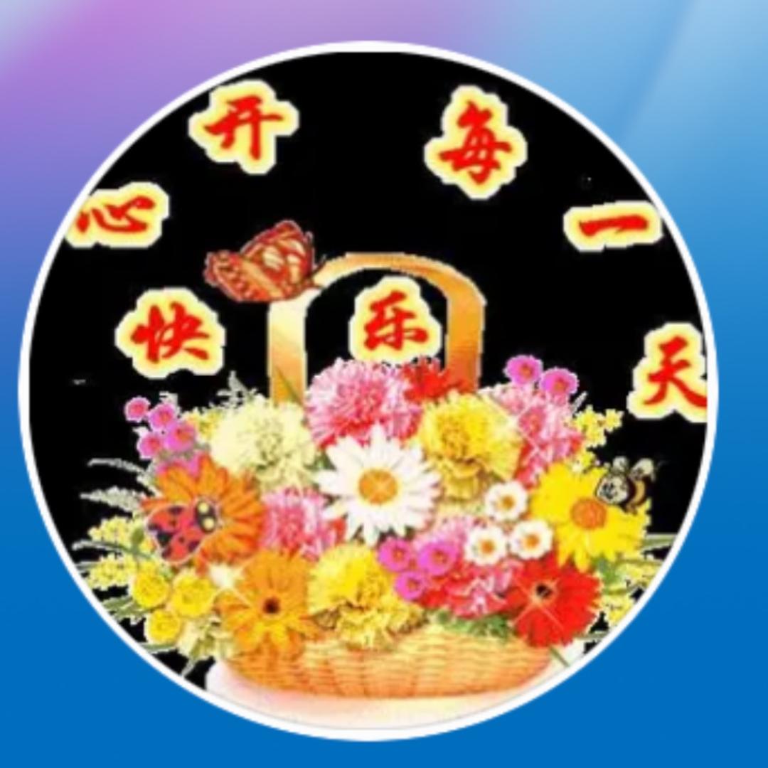 Wp520035.萍萍