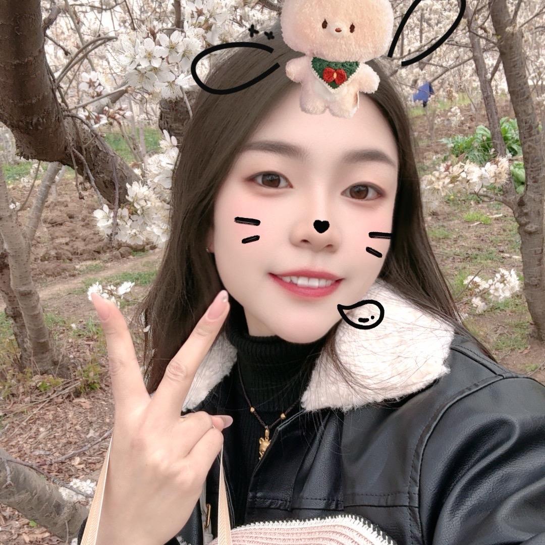 小向探昭通