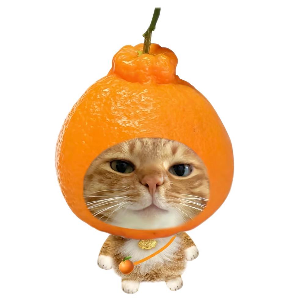 我不叫生菜